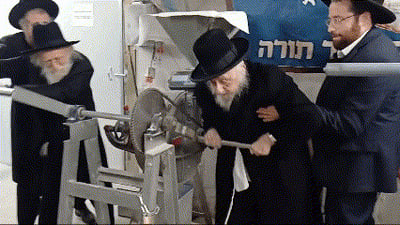 תיעוד נדיר | ראש הישיבה והמקובל הגר"ש גלאי בטחינת חיטים