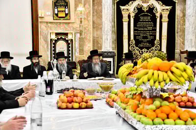 ט"ו בשבט בחצה"ק שבט הלוי
