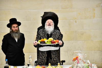 ט"ו בשבט בחצה"ק פרמישלאן