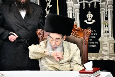 פורים בחצה"ק אלכסנדר