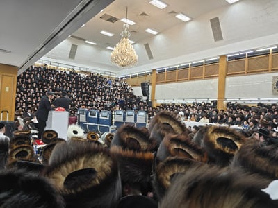 פורים בחצה"ק סאטמר