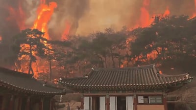 יותר מ-30 נהרגו בקוריאה - בגלל נר נשמה שהודלק על קבר
