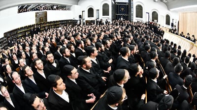 בחורי גור