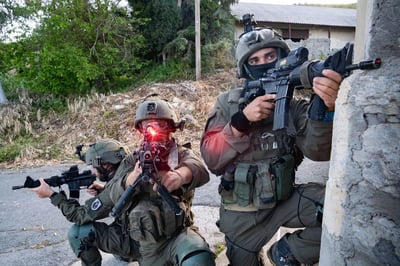 הלוחמים בפעילות