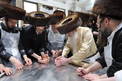 האדמו"ר ממחנובקא בעלזא באפיית מצות מצווה