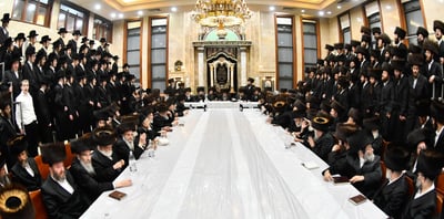 טיש הילולא בשבט הלוי