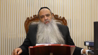 הרב רפאל זר בפינה לפרשת שמיני • צפו