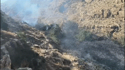 השריפה בה היו מעורבים גם בחורי ישיבות; "רשלנות מטיילים"