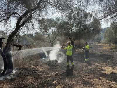 לוחמי האש בפעולה