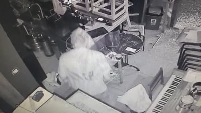 חשב שזה יעזור: הפורץ מכסה את פניו בשקית ניילון בתל אביב | צפו