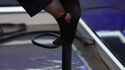 חור בגרב וסוס טרויאני: החדשות הלא באמת חשובות של השבוע | צפו