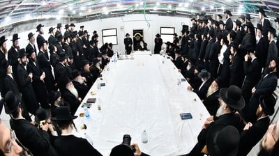הילולא קדישא במודז'יץ
