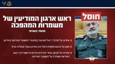 הודעת צה"ל על החיסול