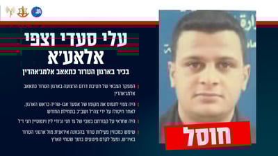 חיסולו של עלי סעדי וצפי אלאע'א
