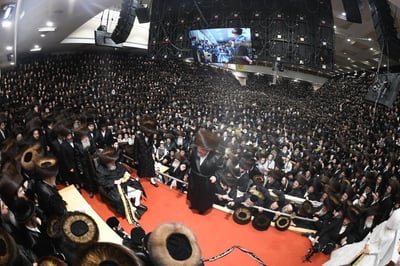 שמחת נישואי נכדת האדמו"ר מבעלזא