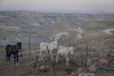 התחזית: עומסי חום כבדים עד קיצוניים | מחר: ירידה בטמפרטורות 