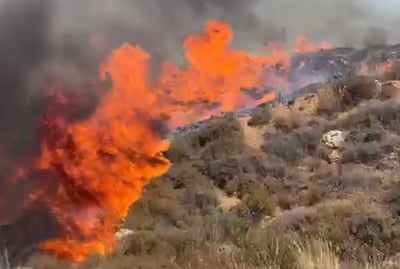 השריפה סמוך לאפרת: "מדובר בהצתה שמצטרפת לעוד הצתות באיזור"