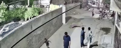 תיעוד מלחיץ: אריה ׳המחמד׳ זינק על האישה באמצע הרחוב - שלושה נפצעו 
