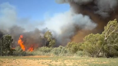 שריפה מתפשטת בבקעת הירדן | שישה מטוסים הוזנקו לסייע