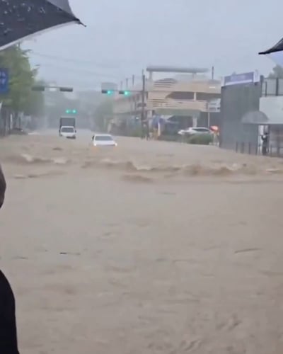 מפולות בוץ והצפות ענק הביאו ל-14 הרוגים בדרום קוריאה | תיעוד