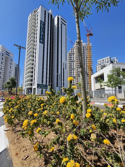 אילוסטרציה