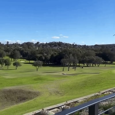 תיעוד מדהים מאוסטרליה: המטוס מנמיך גובה - ומתרסק על הדשא ללא פיצוץ