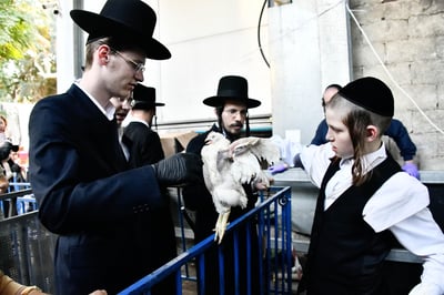 מנהג כפרות בבני ברק