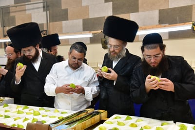 אווירת ערב חג הסוכות בעיר אשדוד