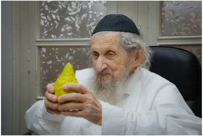 הגאון רבי דב לנדו בבדיקת אתרוגים