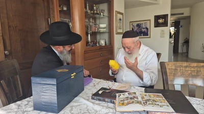 הגרש"מ עמאר בבדיקת אתרוגים
