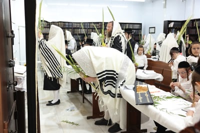 סוכות בחצר ספינקא בית שמש