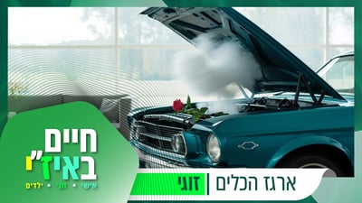 טיפול תקופתי מונע בעיות