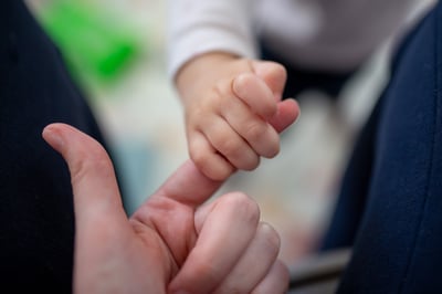 פרשת תולדות: מי נחשבת האמא במקרה של פונדקאות?