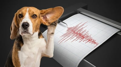 יודעים לפני כולם? 