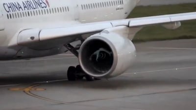 המטוס נע על מסלול ההמראה - ואז זה קרה: ההפתעה שנשאבה למנוע | צפו