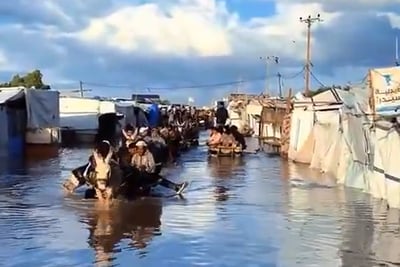 תיעוד יוצא דופן מעזה: חמורים מסייעים בתעבורת תושבים תחת הצפות קיצוניות