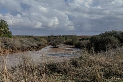 נחל שקמה, אתמול