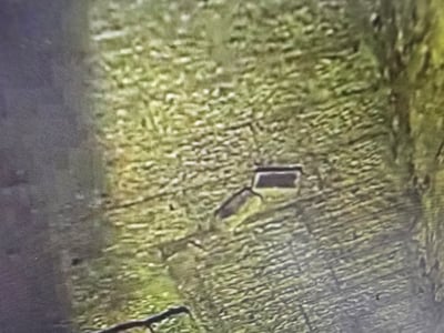 משטרת ירושלים עצרה שני קטינים שיידו אבנים ובקבוקים בעיר העתיקה
