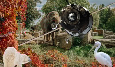 יסייעו בחיזוי אסונות טבע: לוויין חדש מחולל מהפכה במעקב אחר בעלי חיים