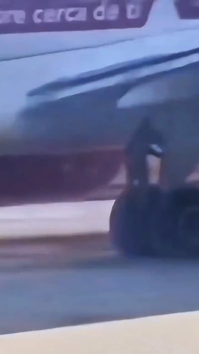 לא טרור ולא 'נוסע סמוי': זו הסיבה שאדם זר פרץ את השער בשדה וניסה לטפס אל תא הגלגלים | תיעוד