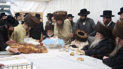 שמחת פדיון הבן בחצרות תולדות אברהם יצחק - טשארנאביל - קאלוב