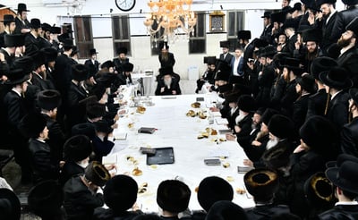 הילולא קדישא במודז'יץ