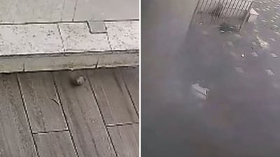 הרימון שהושלך