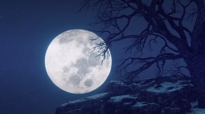 הירח כפי שנצפה משמי ארה"ב