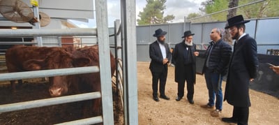 הגר"ש מחפוד בביקור בשילה הקדומה