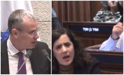 לוין ולזימי, היום במליאה