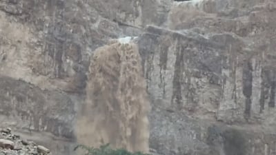 סחף מטורף: תיעודים משמחים מהנחלים שהחלו לזרום בעוצמה  