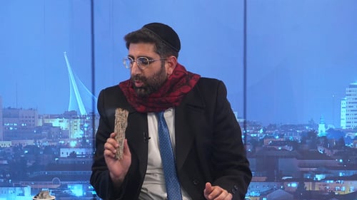 בין עכבישים לקמעות: השבוע שבו הכנסת הפכה לגן חיות ונתניהו קיבל הצעה שלא יכל לסרב לה • צפו