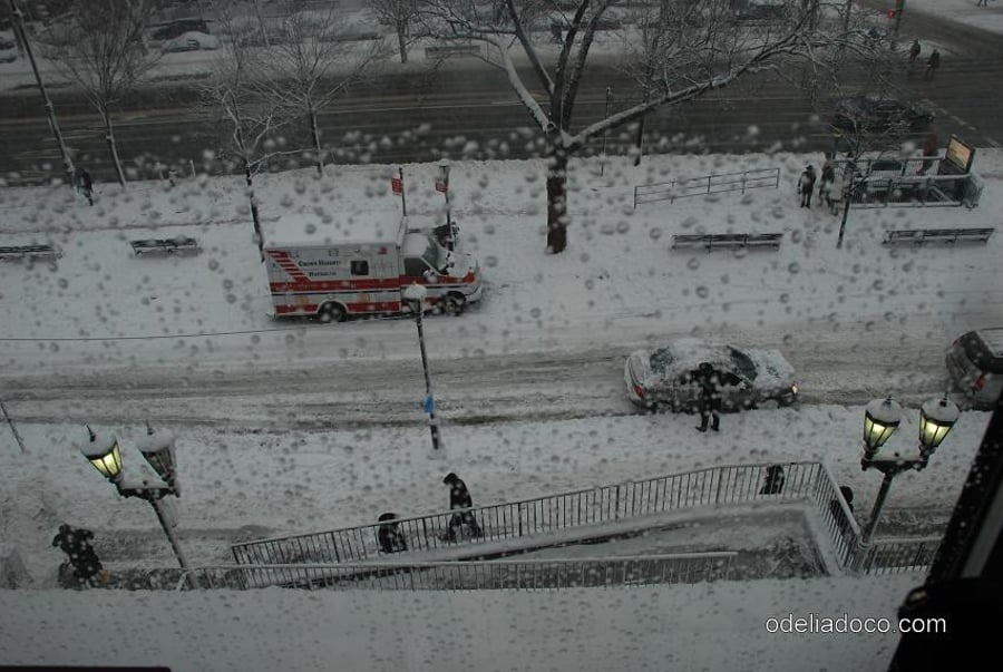צפו בגלריה לבנה: ניו-יורק עטופה שלג