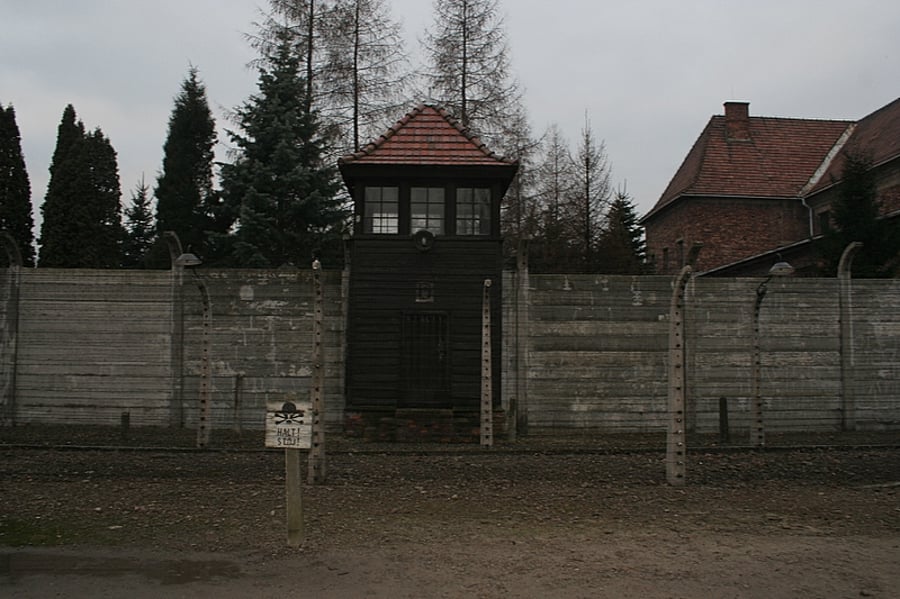 יום השואה: צלם "כיכר השבת" בתיעוד מיוחד מאושוויץ ומיידנק